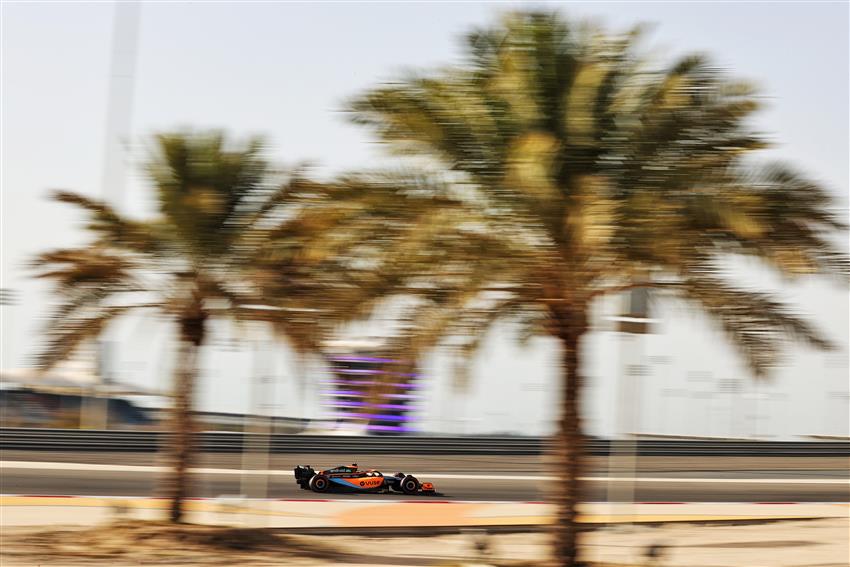 F1 car and two palm trees